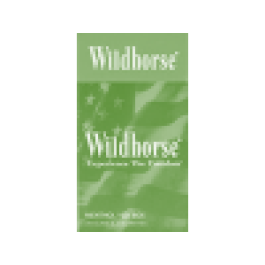 WILDHORSE GREEN SILVER 100 BOX